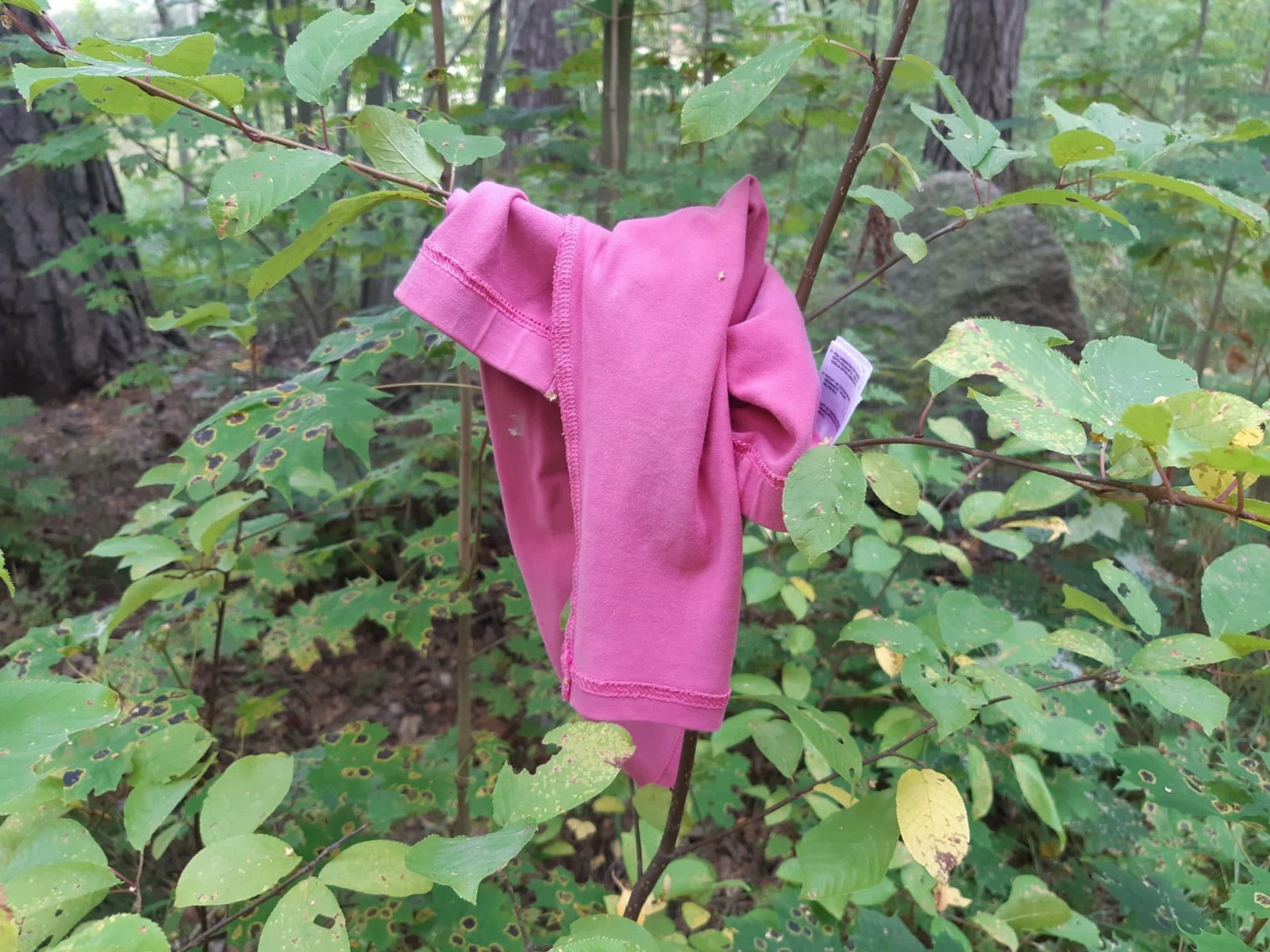 lapsen vaate oksalla