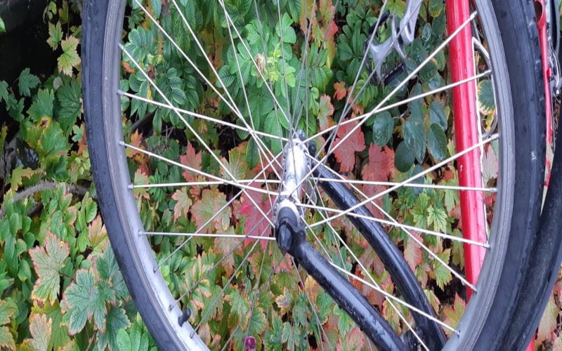 polkupyörä pusikossa